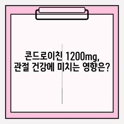 콘드로이친 1200mg 섭취, 최신 연구 결과로 알아보는 효과와 안전성 | 건강기능식품, 관절 건강, 부작용