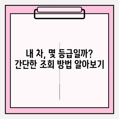 내 차, 몇 등급일까? 번호판으로 노후 경유차 등급 조회 가이드 |  미세먼지, 환경, 노후 경유차, 등급 조회,  자동차