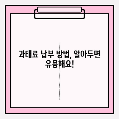차량 과태료, 간편하게 조회하는 방법 | 과태료 조회, 조회 방법, 위반내역, 납부