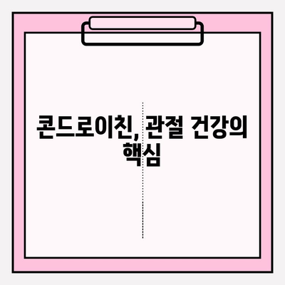 관절 건강을 위한 필수 영양소, 콘드로이친| 효능과 섭취 방법 | 관절 건강, 연골 건강, 건강 정보