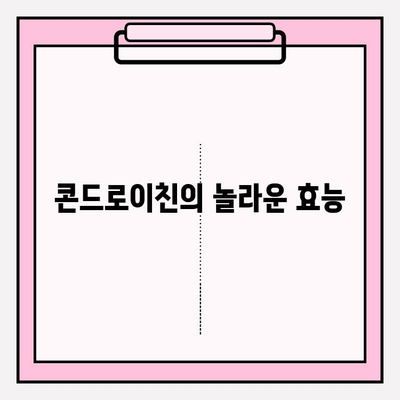 관절 건강을 위한 필수 영양소, 콘드로이친| 효능과 섭취 방법 | 관절 건강, 연골 건강, 건강 정보