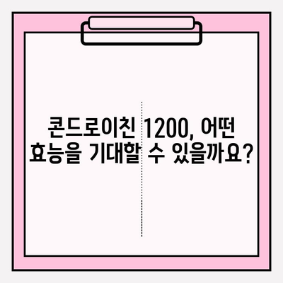 콘드로이친 1200| 건강한 관절을 위한 필수 관절 영양소 | 효능, 복용법, 주의사항 총정리