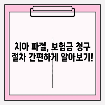 치아 파절, 어떻게 대비해야 할까요? | 보험금 청구부터 치료 실비 보험까지 완벽 가이드