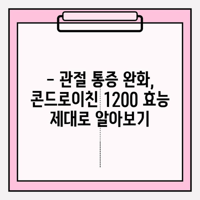 관절 건강, 콘드로이친 1200 효능 극대화하는 영양제 추천 | 관절 건강, 통증 완화, 연골 건강, 영양제 추천