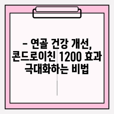 관절 건강, 콘드로이친 1200 효능 극대화하는 영양제 추천 | 관절 건강, 통증 완화, 연골 건강, 영양제 추천