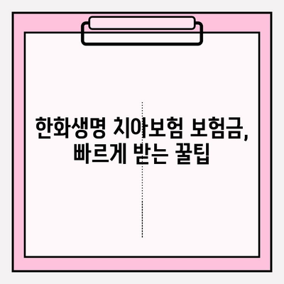 한화생명 얼굴보장 치아보험 보험금 청구| 상세 가이드 및 필요서류 | 보험금 지급, 청구 절차, 주의 사항