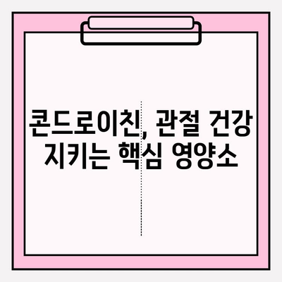 콘드로이친 효능| 관절 건강 지키는 예방 전략 | 관절 건강, 연골 건강, 건강 관리, 예방, 효능