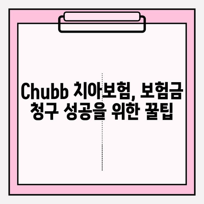 칫솔질만으로는 부족해! 😲 Chubb 치아 안심보험 보험금 청구 절차 완벽 가이드 | 치아보험, 보험금, 청구방법, 서류