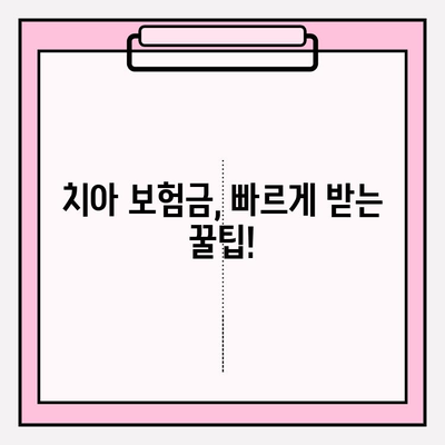 치아 보험금 청구 완벽 가이드 | 치아 보험, 보험금 청구 절차, 서류 준비