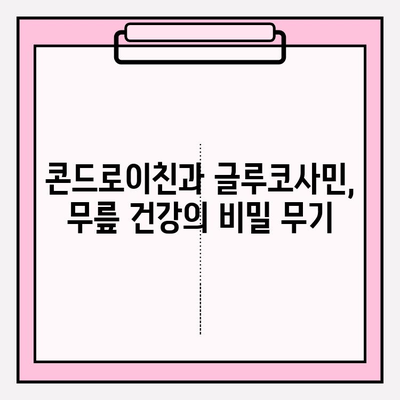 무릎 건강 지키는 비법! 콘드로이친&글루코사민 효과 완벽 분석 | 관절 건강, 연골 보호, 통증 완화