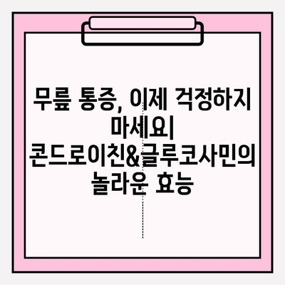 무릎 건강 지키는 비법! 콘드로이친&글루코사민 효과 완벽 분석 | 관절 건강, 연골 보호, 통증 완화
