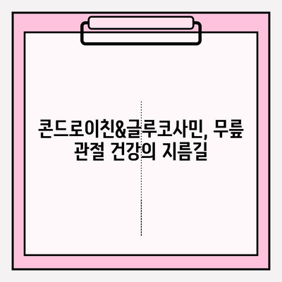 무릎 건강 지키는 비법! 콘드로이친&글루코사민 효과 완벽 분석 | 관절 건강, 연골 보호, 통증 완화