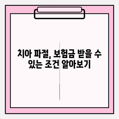 치아 파절, 보험금 꼭 받아야죠! | 치아 파절 보험금 청구 가이드 & 확인 방법