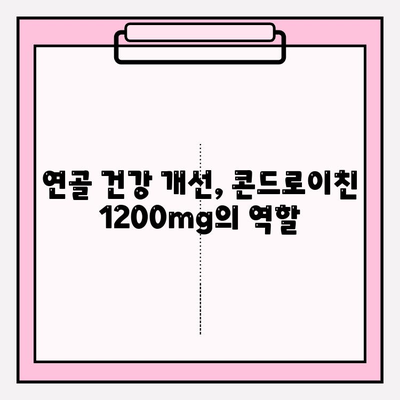 콘드로이친 1200mg, 관절 건강 개선에 미치는 긍정적 효과| 상세 분석 | 건강, 관절 통증, 연골, 효능