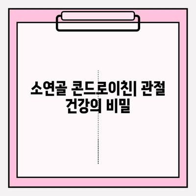 소연골 콘드로이친| 관절 건강을 위한 자연의 선물 | 관절 통증 완화, 연골 재생, 효능 및 주의사항