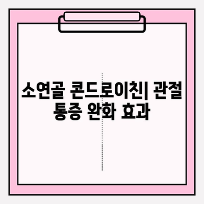 소연골 콘드로이친| 관절 건강을 위한 자연의 선물 | 관절 통증 완화, 연골 재생, 효능 및 주의사항