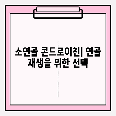 소연골 콘드로이친| 관절 건강을 위한 자연의 선물 | 관절 통증 완화, 연골 재생, 효능 및 주의사항