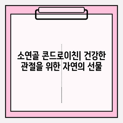 소연골 콘드로이친| 관절 건강을 위한 자연의 선물 | 관절 통증 완화, 연골 재생, 효능 및 주의사항