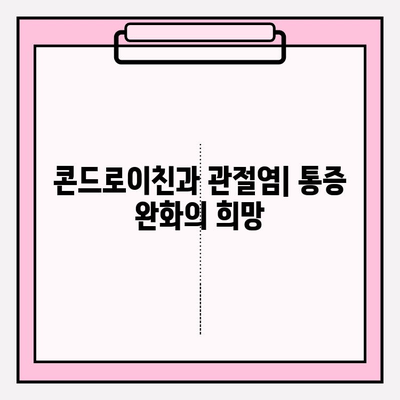 콘드로이친과 관절염| 통증과 불편함 완화 | 관절 건강, 효능, 복용법, 주의사항