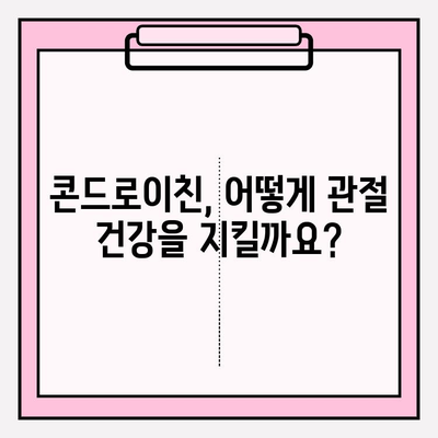 콘드로이친과 관절염| 통증과 불편함 완화 | 관절 건강, 효능, 복용법, 주의사항