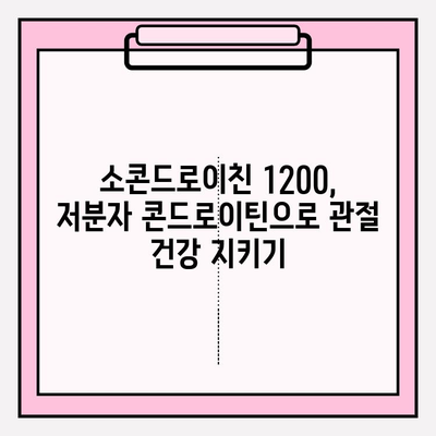 소콘드로이친 1200 영양제| 저분자 콘드로이틴으로 관절 건강 지키기 | 관절 연골, 건강 기능성,  영양제 추천