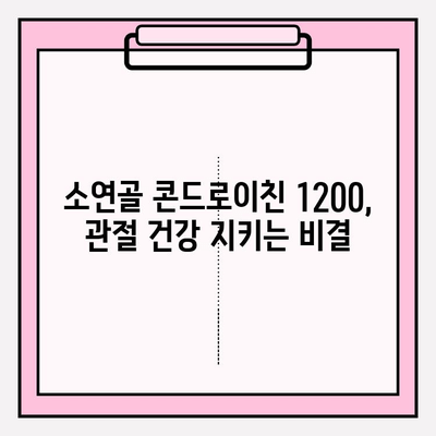 소연골 콘드로이친 1200| 관절 건강 증진 효과와 주의사항 | 콘드로이친, 관절 건강, 건강 기능 식품, 효능, 부작용