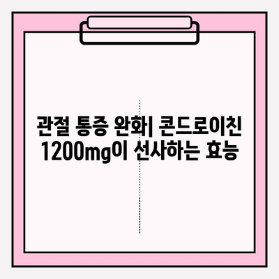 콘드로이친 1200mg| 관절 건강 지키는 효과적인 방법 | 관절 통증 완화, 연골 건강, 건강 기능성