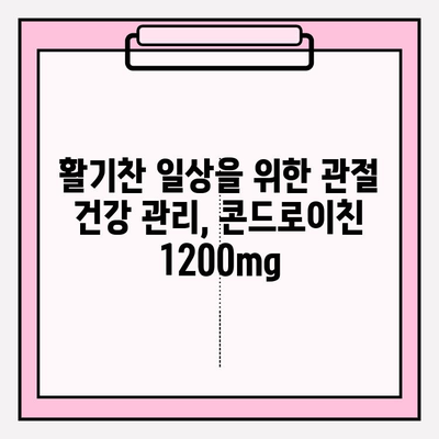 콘드로이친 1200mg| 관절 건강 지키는 효과적인 방법 | 관절 통증 완화, 연골 건강, 건강 기능성