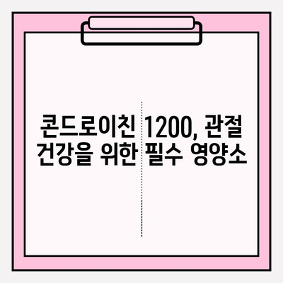 콘드로이친 1200, 관절 건강 지키는 똑똑한 선택 | 관절 건강, 연골 건강, 통증 완화, 효능, 복용법