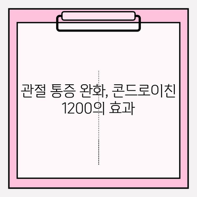 콘드로이친 1200, 관절 건강 지키는 똑똑한 선택 | 관절 건강, 연골 건강, 통증 완화, 효능, 복용법