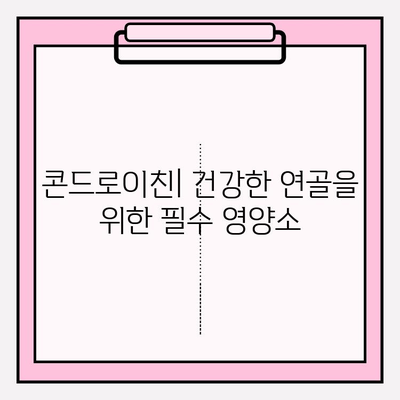 콘드로이친의 역할| 건강한 연골과 관절 유지의 비밀 | 연골 건강, 관절 건강, 건강 기능 식품