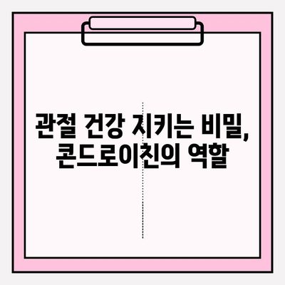 콘드로이친의 역할| 건강한 연골과 관절 유지의 비밀 | 연골 건강, 관절 건강, 건강 기능 식품