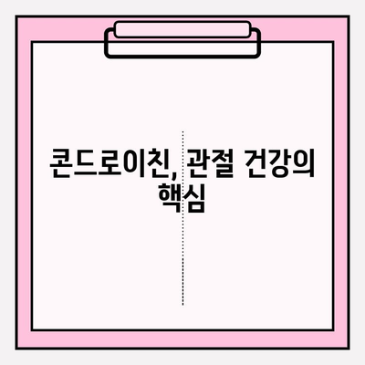 콘드로이친으로 건강한 관절 지키기| 궁극의 가이드 | 관절 건강, 연골 건강, 영양제, 건강 정보