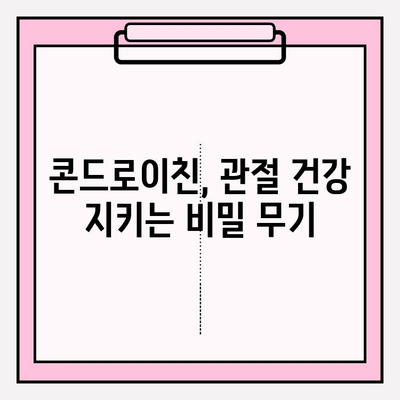 콘드로이친| 관절 건강을 위한 필수 영양소 | 관절 건강, 연골 건강, 건강 정보, 건강 기능성