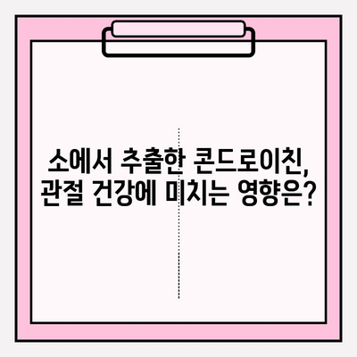 소에서 추출한 콘드로이친, 효능과 효과는? | 관절 건강, 연골 재생, 효율성 비교, 부작용, 복용 방법