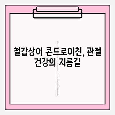 철갑상어 콘드로이친| 관절 건강을 위한 선택 |  관절 건강, 연골 건강, 콜라겐, 건강 기능 식품