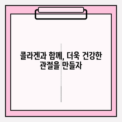 철갑상어 콘드로이친| 관절 건강을 위한 선택 |  관절 건강, 연골 건강, 콜라겐, 건강 기능 식품