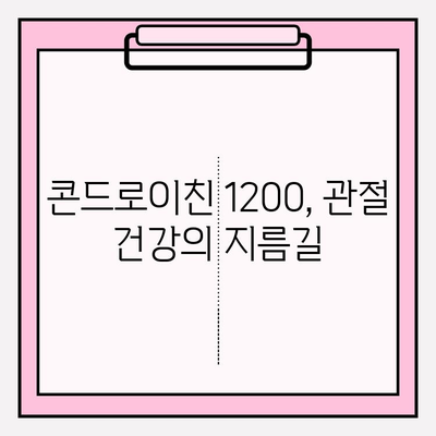 콘드로이친 1200으로 건강한 관절 관리| 효과적인 활용법 | 관절 건강, 연골 건강, 건강 기능 식품