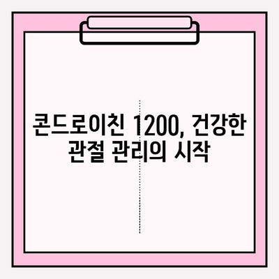 콘드로이친 1200으로 건강한 관절 관리| 효과적인 활용법 | 관절 건강, 연골 건강, 건강 기능 식품