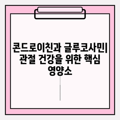 콘드로이친과 글루코사민| 관절 건강을 위한 파워 듀오 | 관절 통증 완화, 염증 감소, 효과 및 주의 사항