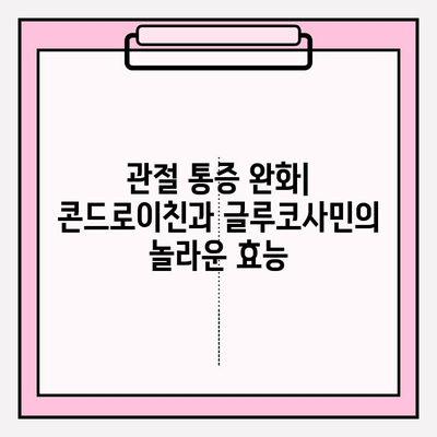 콘드로이친과 글루코사민| 관절 건강을 위한 파워 듀오 | 관절 통증 완화, 염증 감소, 효과 및 주의 사항