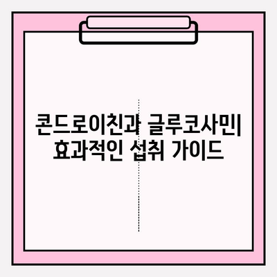 콘드로이친과 글루코사민| 관절 건강을 위한 파워 듀오 | 관절 통증 완화, 염증 감소, 효과 및 주의 사항