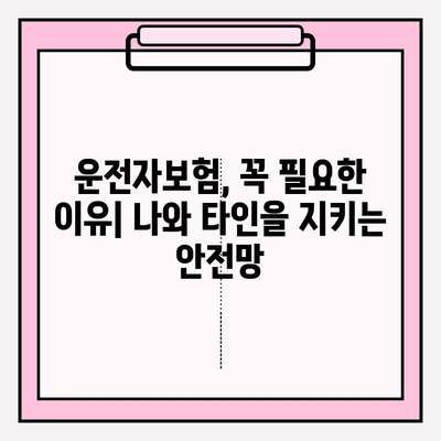 운전자보험 완벽 가이드| 자세한 안내와 꼼꼼한 가입 팁 | 보험료 비교, 보장 범위, 추천 상품, 가입 절차