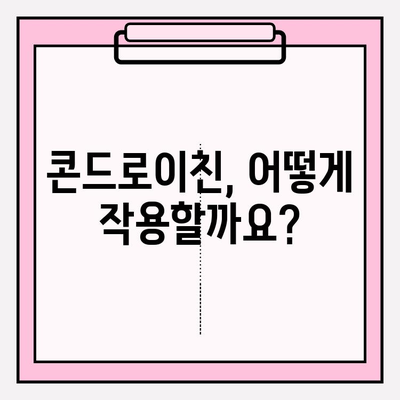 콘드로이친의 놀라운 힘| 관절 건강을 위한 솔루션 | 관절 건강, 연골 건강, 통증 완화, 콘드로이친 효능