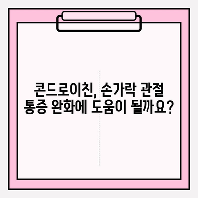 손과 손가락 관절 통증 완화, 콘드로이친 효과는? | 관절 건강, 연골 재생, 통증 관리