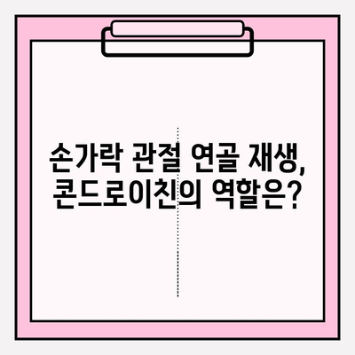 손과 손가락 관절 통증 완화, 콘드로이친 효과는? | 관절 건강, 연골 재생, 통증 관리