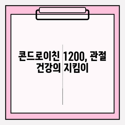 콘드로이친 1200 효능과 활용| 유연성 개선 & 움직임 회복 | 관절 건강, 연골 건강, 활동성 증진