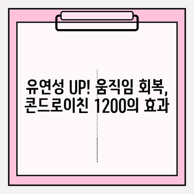 콘드로이친 1200 효능과 활용| 유연성 개선 & 움직임 회복 | 관절 건강, 연골 건강, 활동성 증진