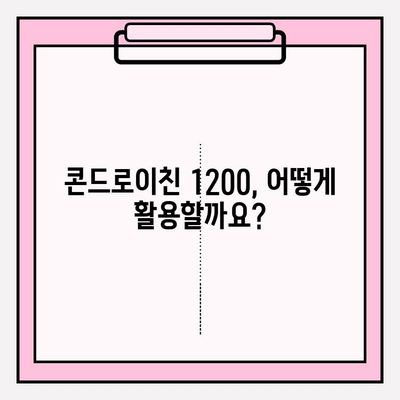 콘드로이친 1200 효능과 활용| 유연성 개선 & 움직임 회복 | 관절 건강, 연골 건강, 활동성 증진