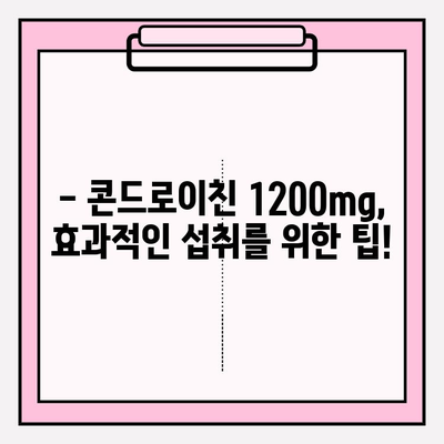 콘드로이친 1200mg| 관절 건강 관리 가이드 | 부작용, 효능, 복용법, 주의사항